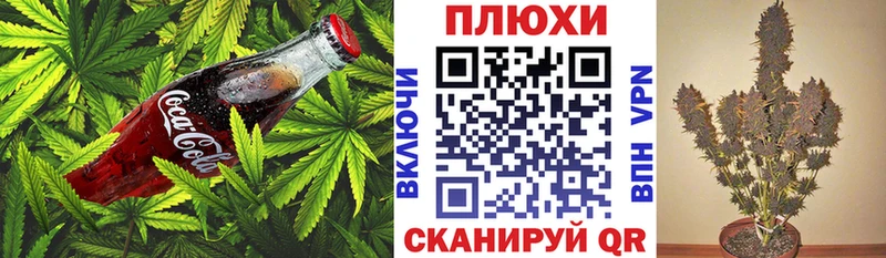 Canna-Cookies марихуана  Аткарск 