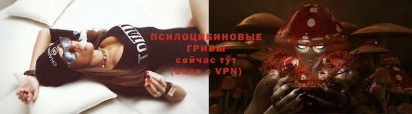 ГАЛЛЮЦИНОГЕННЫЕ ГРИБЫ Алексеевка