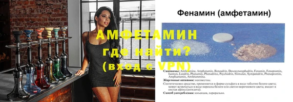 прущие грибы Пересвет